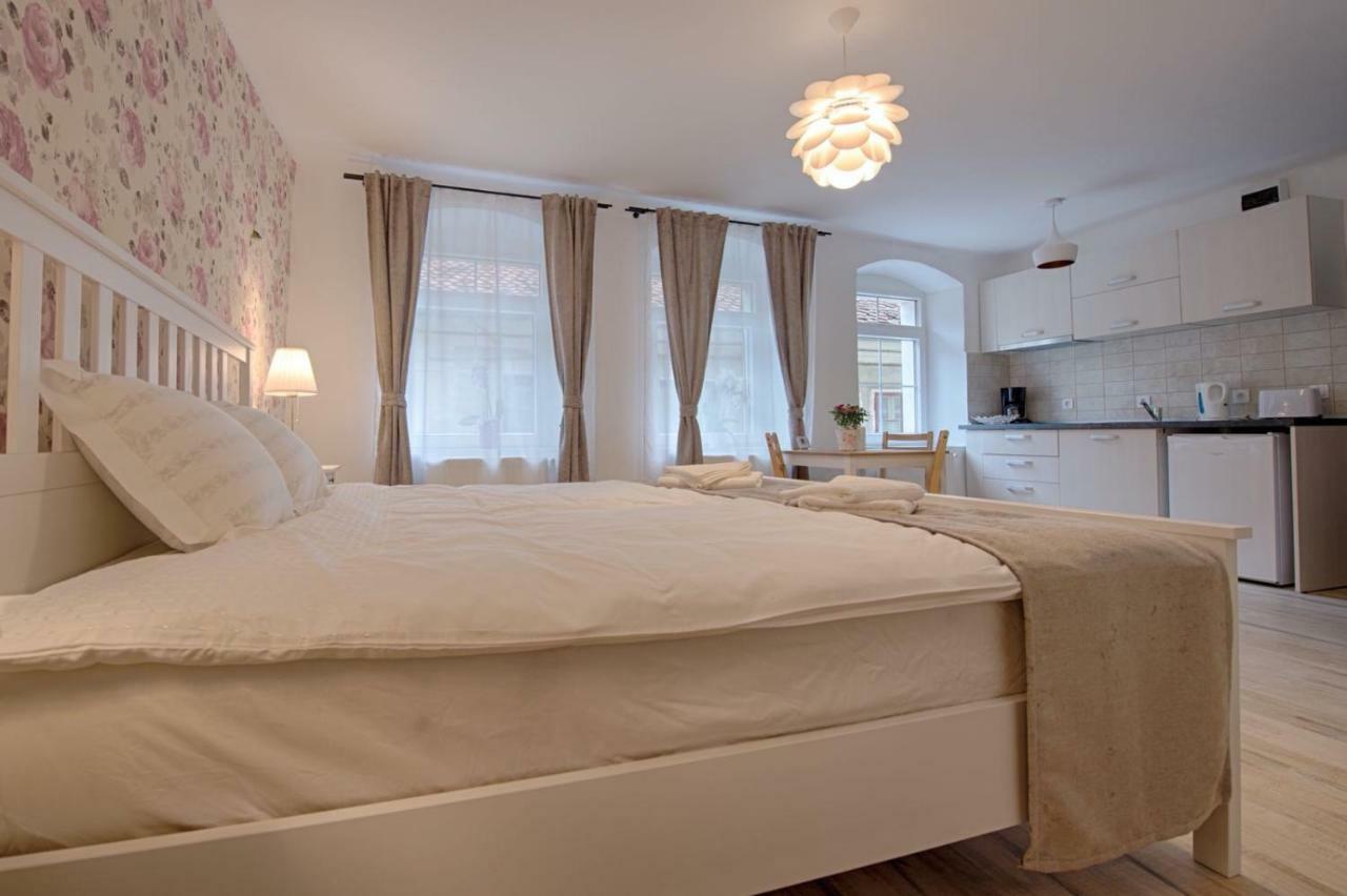 Casa Witting Appartement Braşov Buitenkant foto